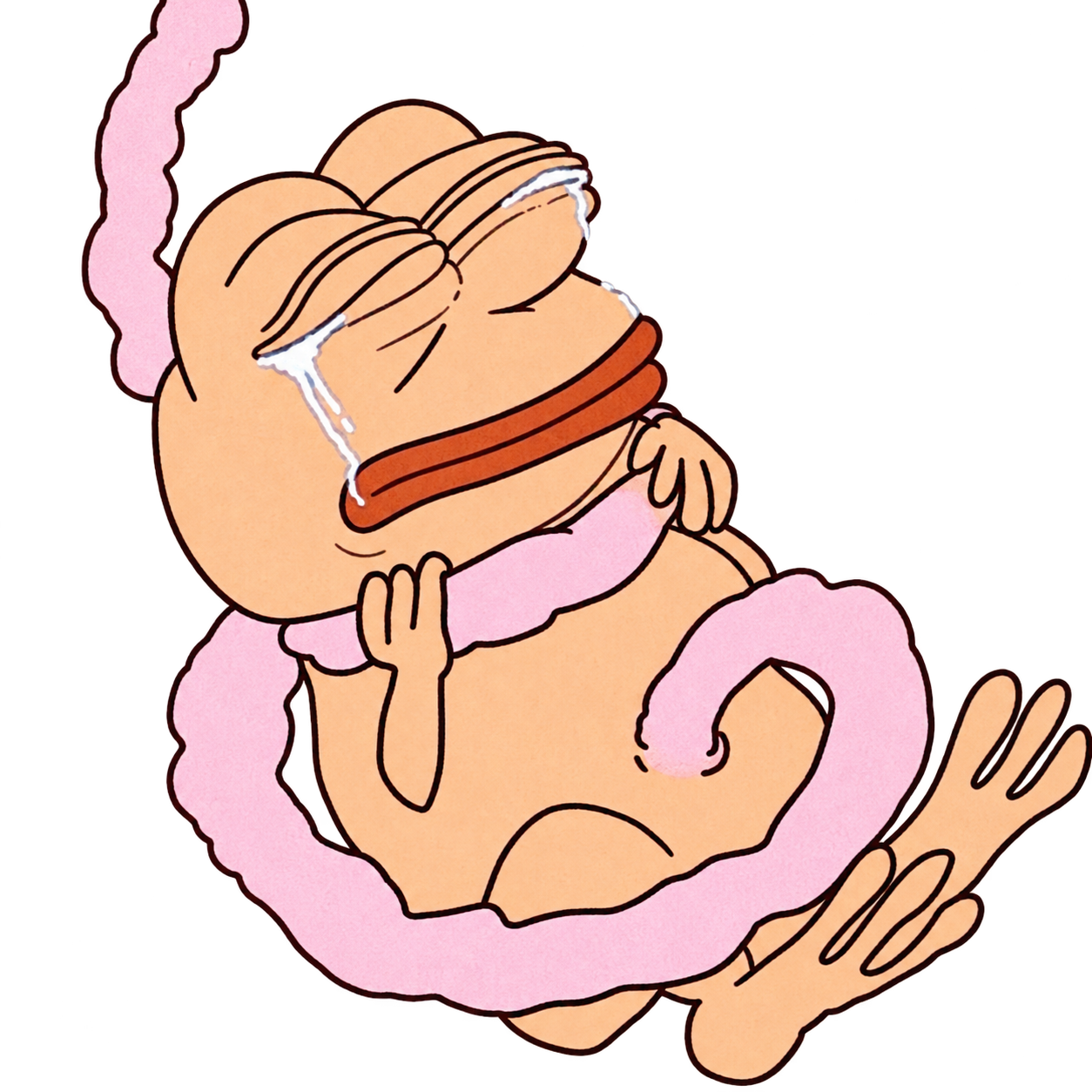 The peach, teary-eyed Born to Trade character, curled up in a pink cord